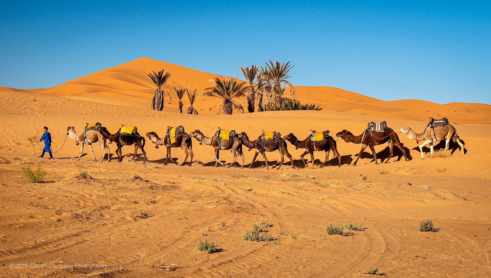 Into the Sahara